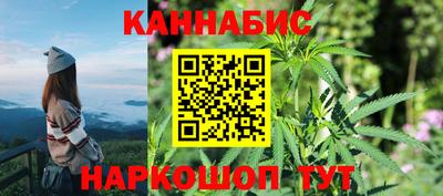 прущие грибы Пушкино
