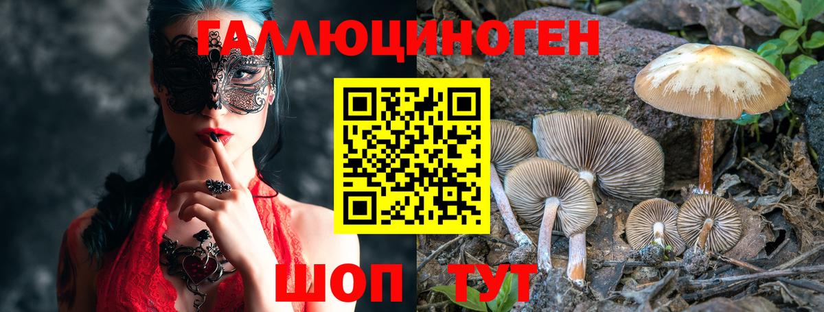 Псилоцибиновые грибы GOLDEN TEACHER Ростов Великий