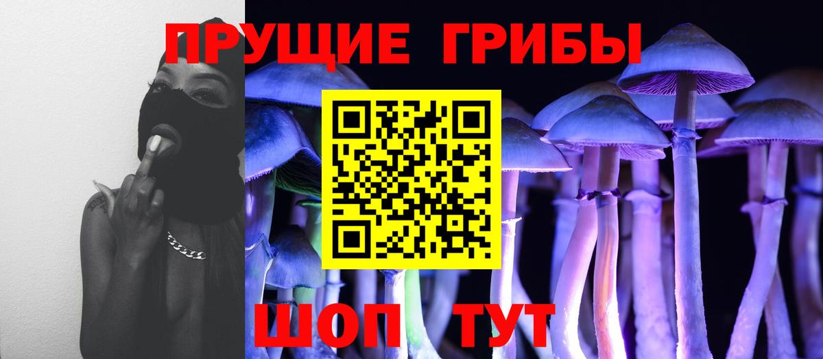 Ростов Великий  Псилоцибиновые грибы мухоморы  Вход с VPN 